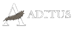 Aditus culture online